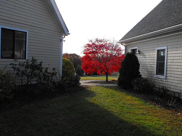15 Ryan Road Belfast, ME 04915 - Photo 18 of 24 Photo