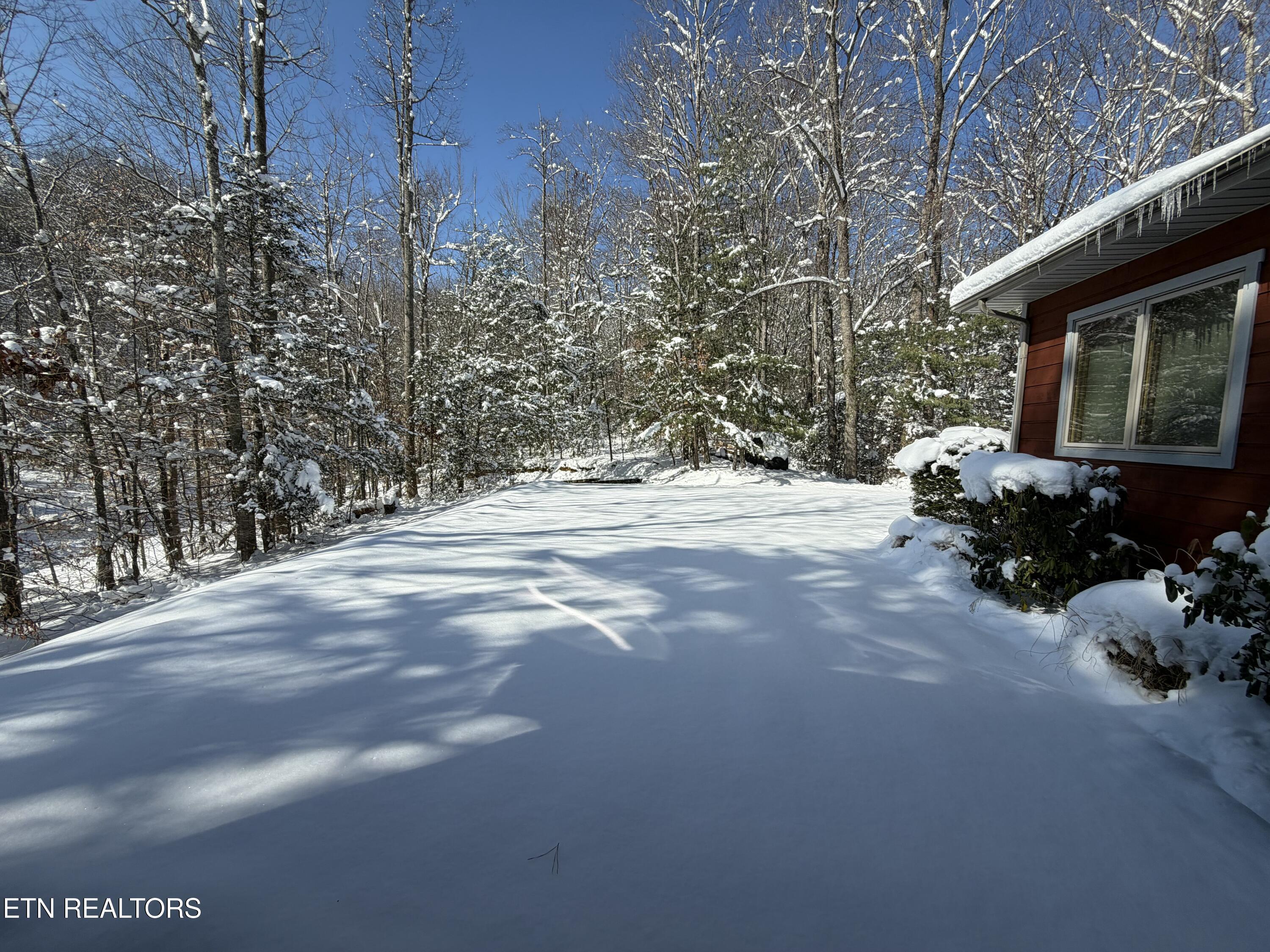 414 Gold Road Cosby, TN 37722 - Photo 58 of 58 IMG_8896-preview