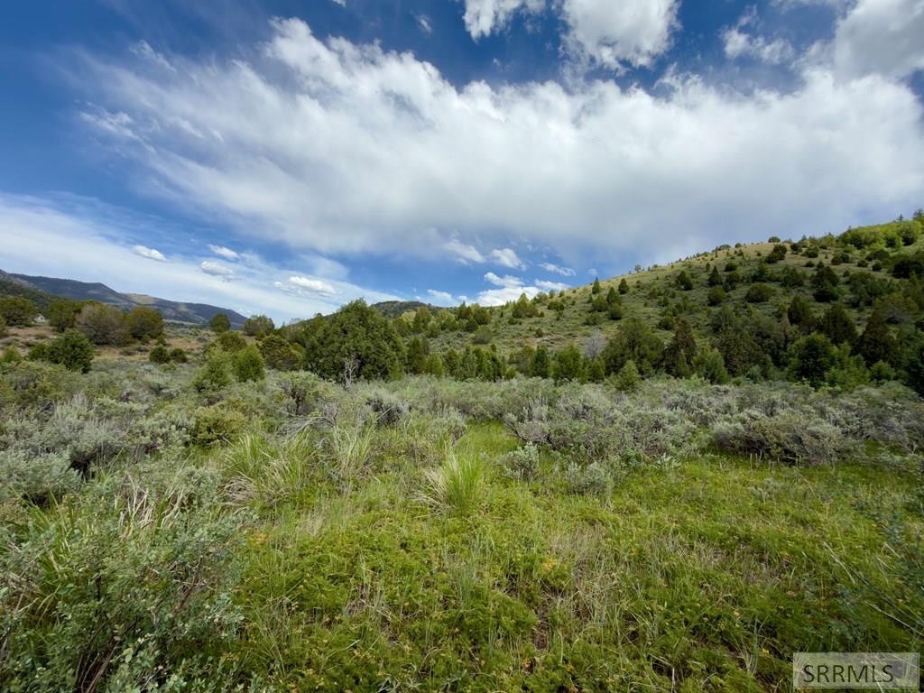 Tbd Fish Creek Road Lava Hot Springs, ID 83246 - Photo 44 of 44