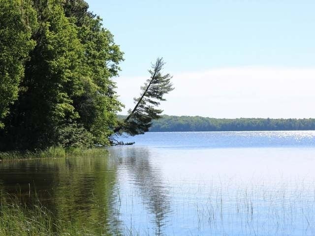 11575 Halme Road Three Lakes, WI 54562 - Photo 18 of 19 Gallery Image 18