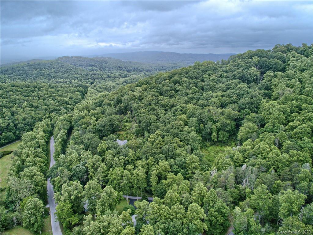 2322 Locust Grove Road Hendersonville, NC 28792 - Photo 33 of 40 an aerial view of a houses with a yard