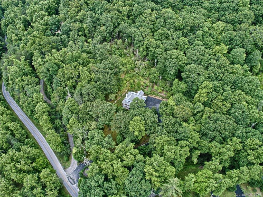 2322 Locust Grove Road Hendersonville, NC 28792 - Photo 34 of 40 a view of a lush green forest