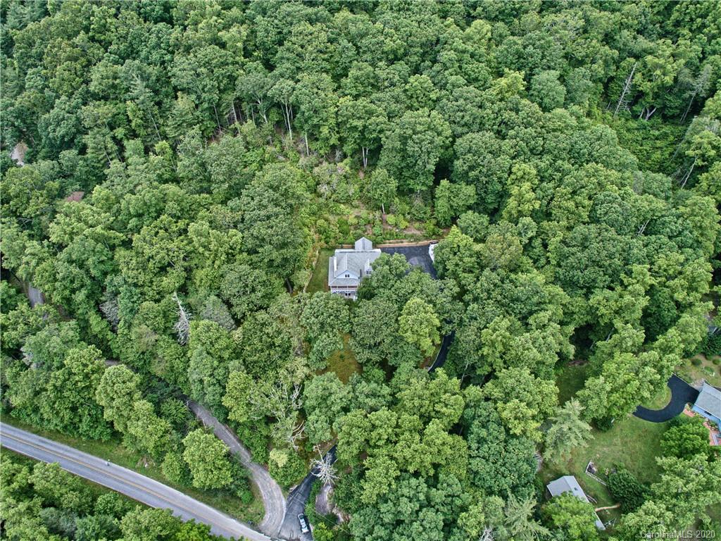 2322 Locust Grove Road Hendersonville, NC 28792 - Photo 35 of 40 a view of a forest with a tree