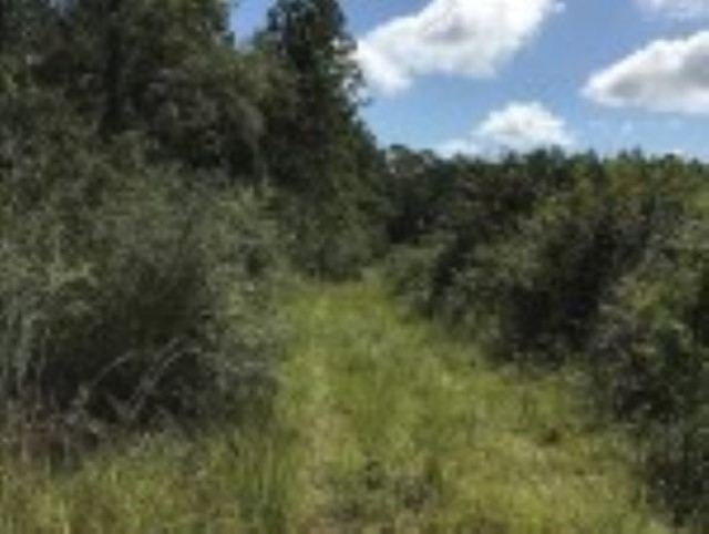 18834 Green Acres Road Loxley, AL 36551 - Photo 1 of 3