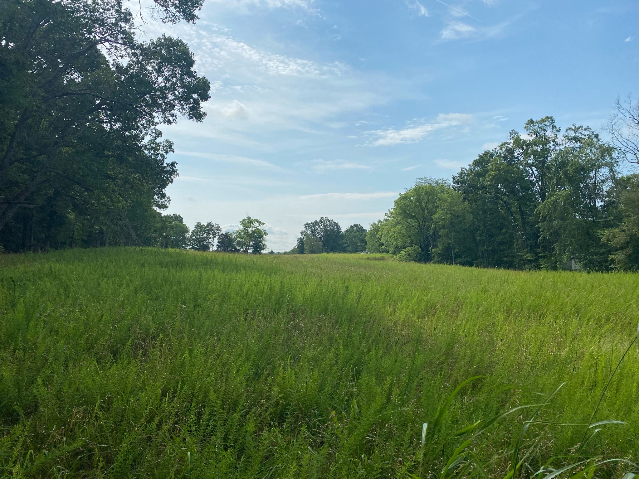 7389 Harper Road Joelton, TN 37080 - Photo 3 of 11 Gallery Image 3