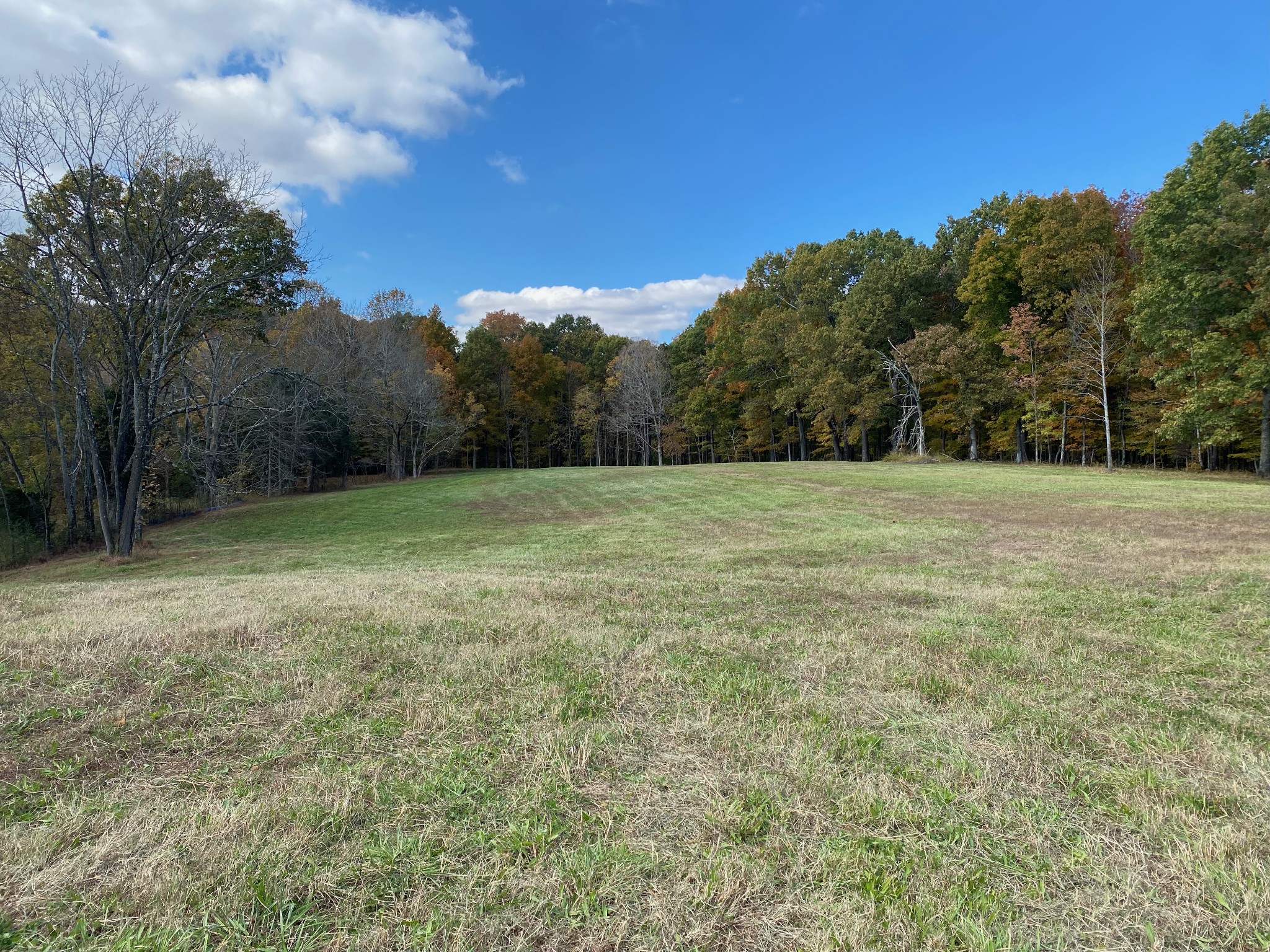 7389 Harper Road Joelton, TN 37080 - Photo 4 of 11 Gallery Image 4