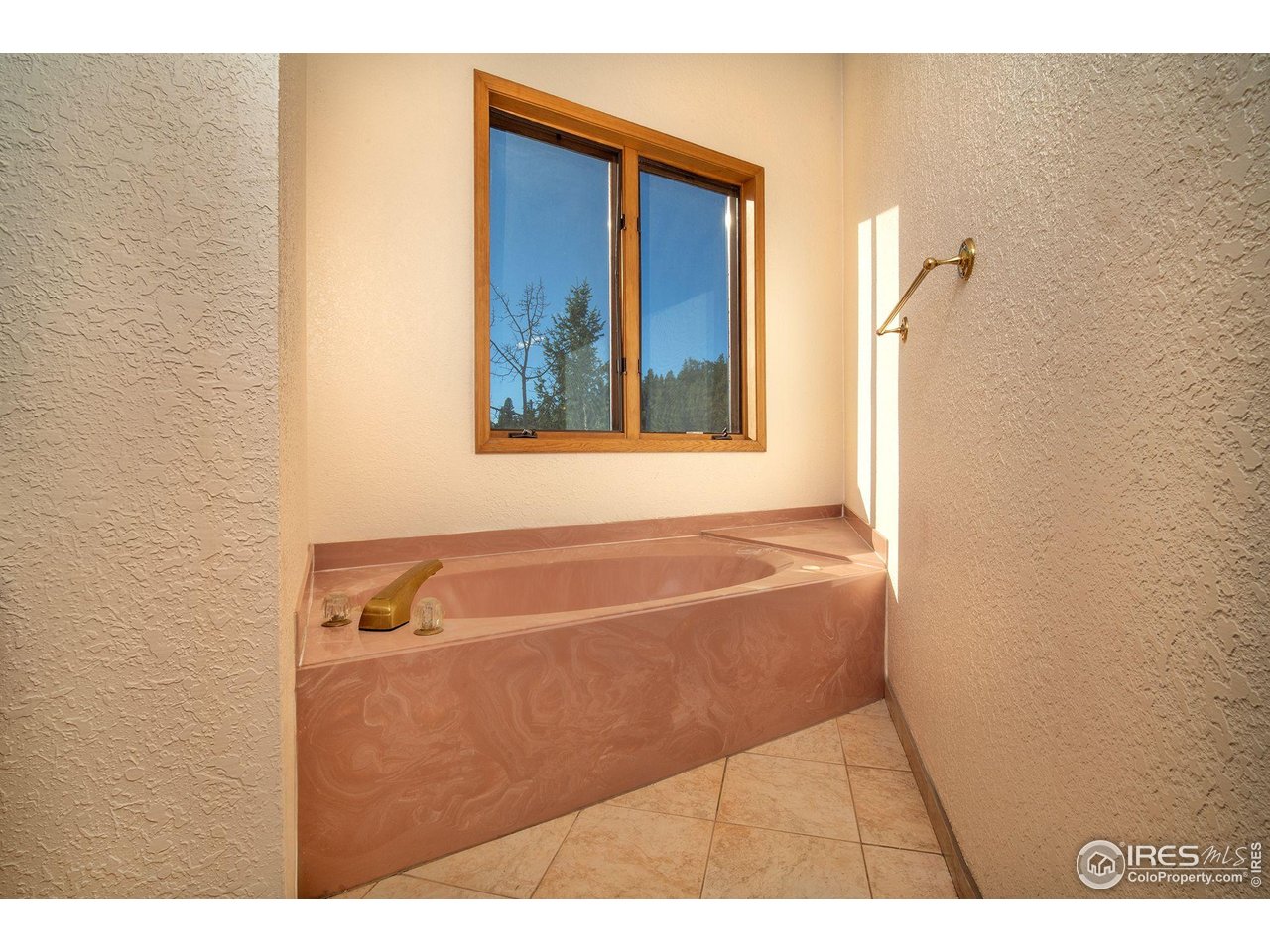 1997 Big Owl Road Allenspark, CO 80510 - Photo 26 of 29 a bathroom with a bathtub
