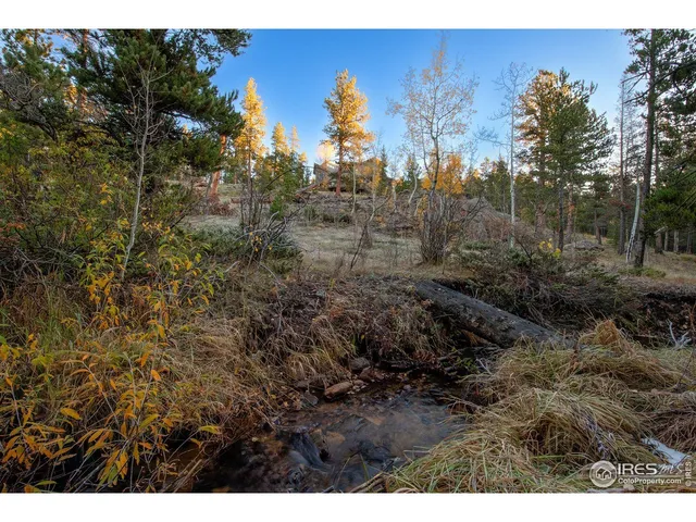 $3,150,000 | 1997 Big Owl Road, Allenspark, CO 80510