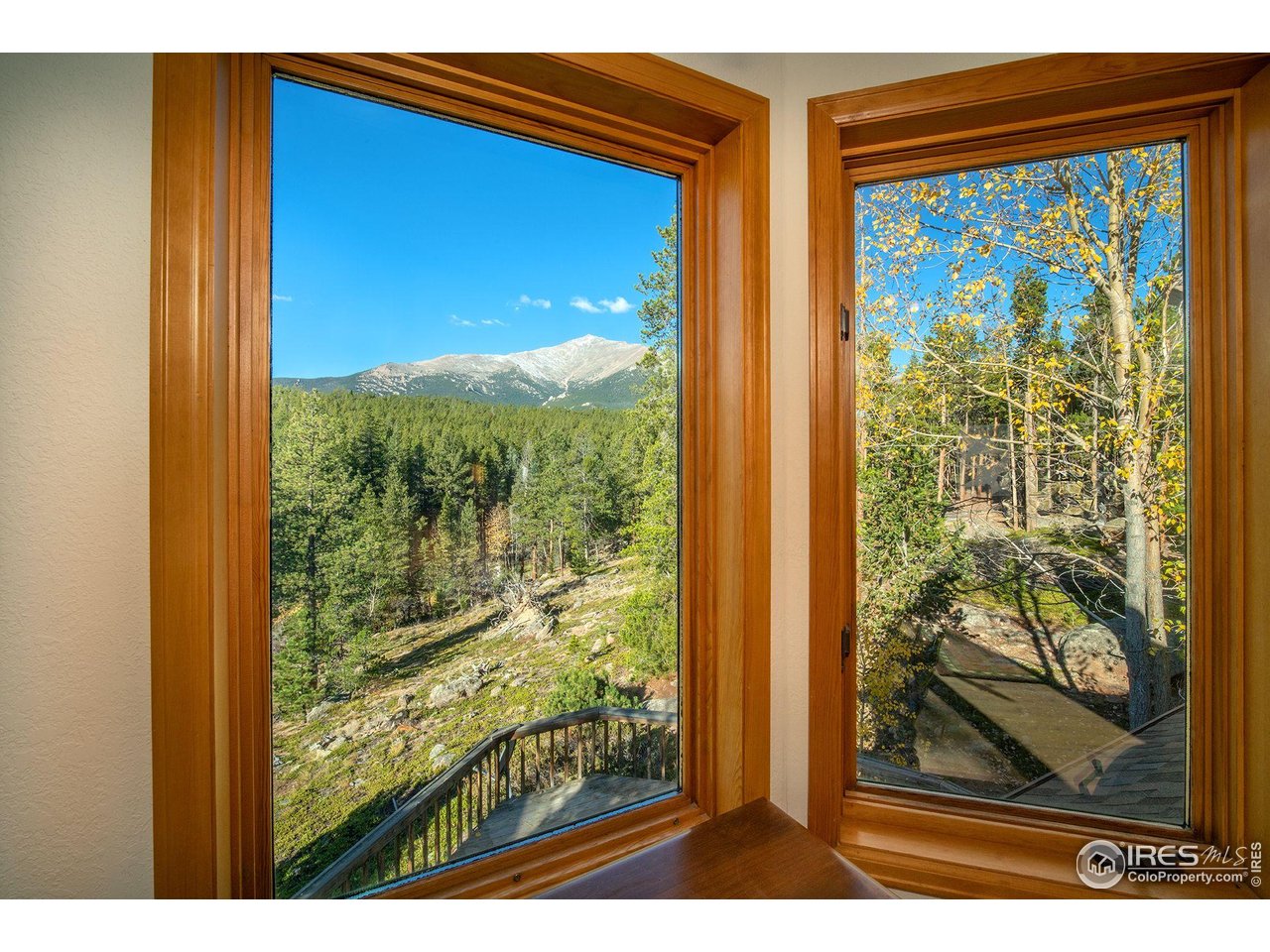 1997 Big Owl Road Allenspark, CO 80510 - Photo 8 of 29 a view of a window