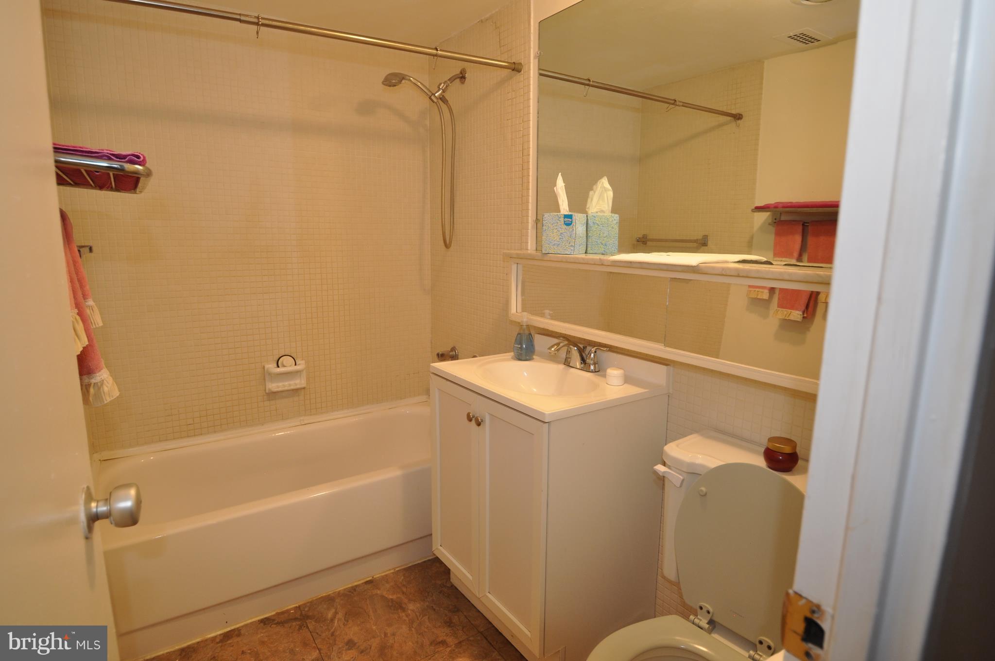 240 M Street Southwest, Unit E603 Washington, DC 20024 - Photo 7 of 13 Bath