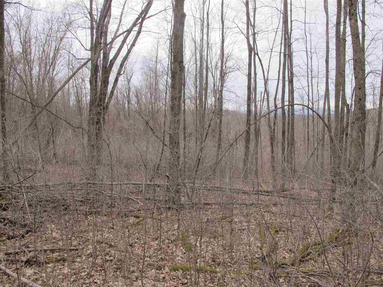 Lot #2 Butternut Road Williston, VT 05495 - Photo 3 of 13