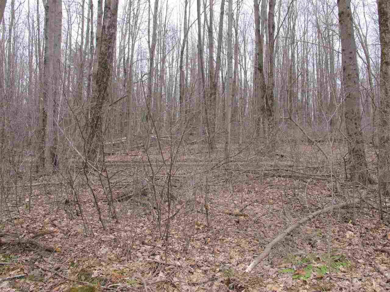 Lot #2 Butternut Road Williston, VT 05495 - Photo 8 of 13