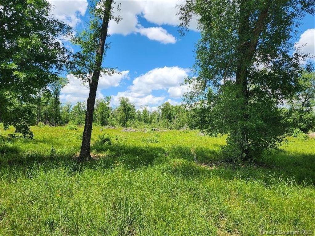 380 Andrew Mouhot Road Ragley, LA 70657 - Photo 2 of 3