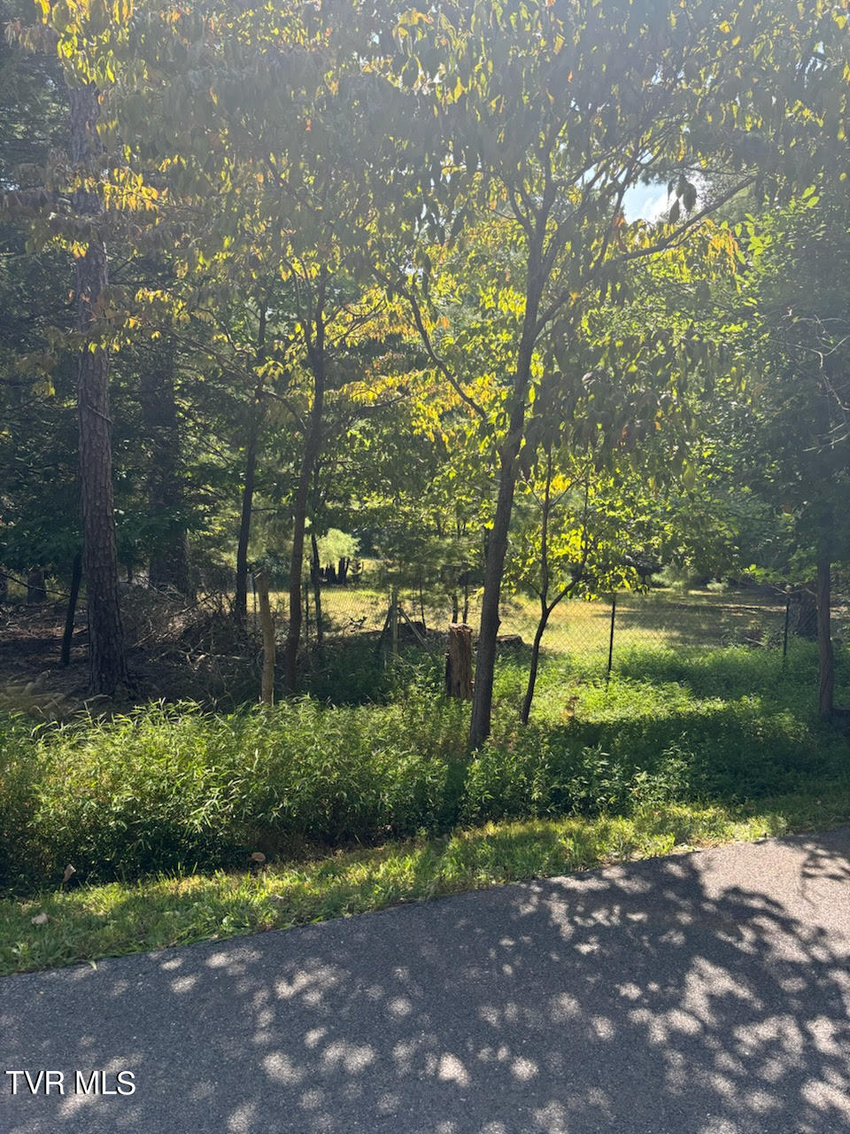 WHISPERING PINES 32500-1