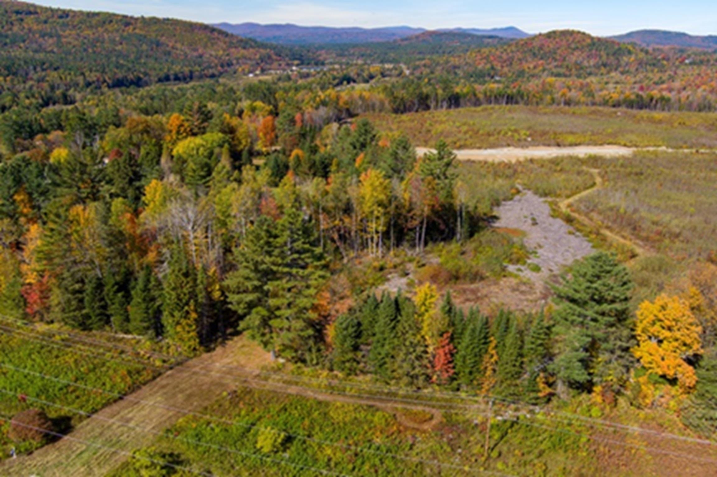 Lot 11 Mirror Lake Road Dalton, NH 03598 - Photo 4 of 12 Gallery Image 4