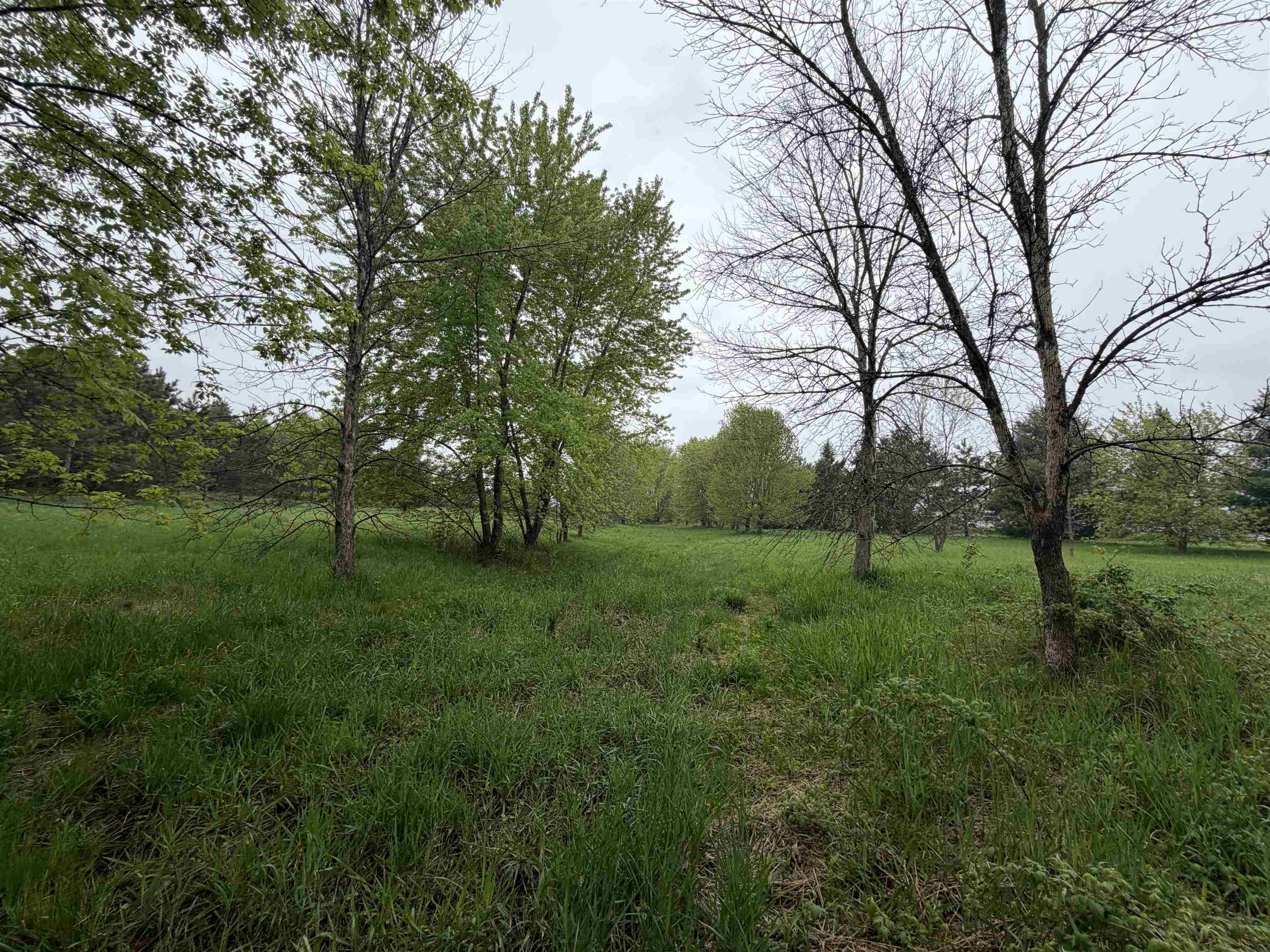 5755 350th Street Stanley, WI 54768 - Photo 8 of 16