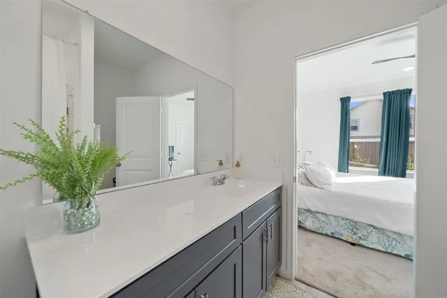 a bathroom with a sink a mirror and a potted plant
