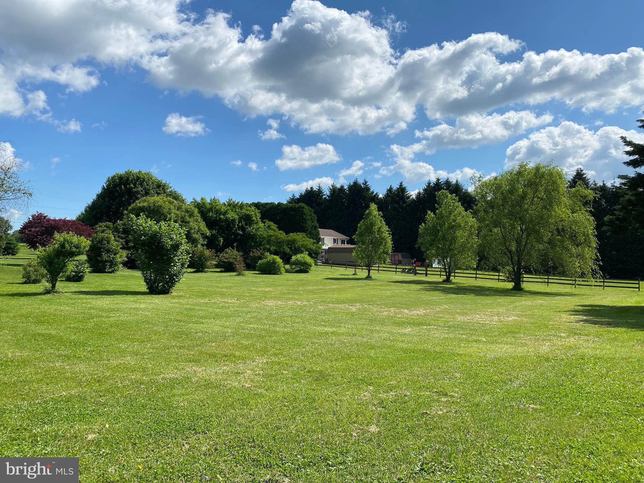 Rear Yard