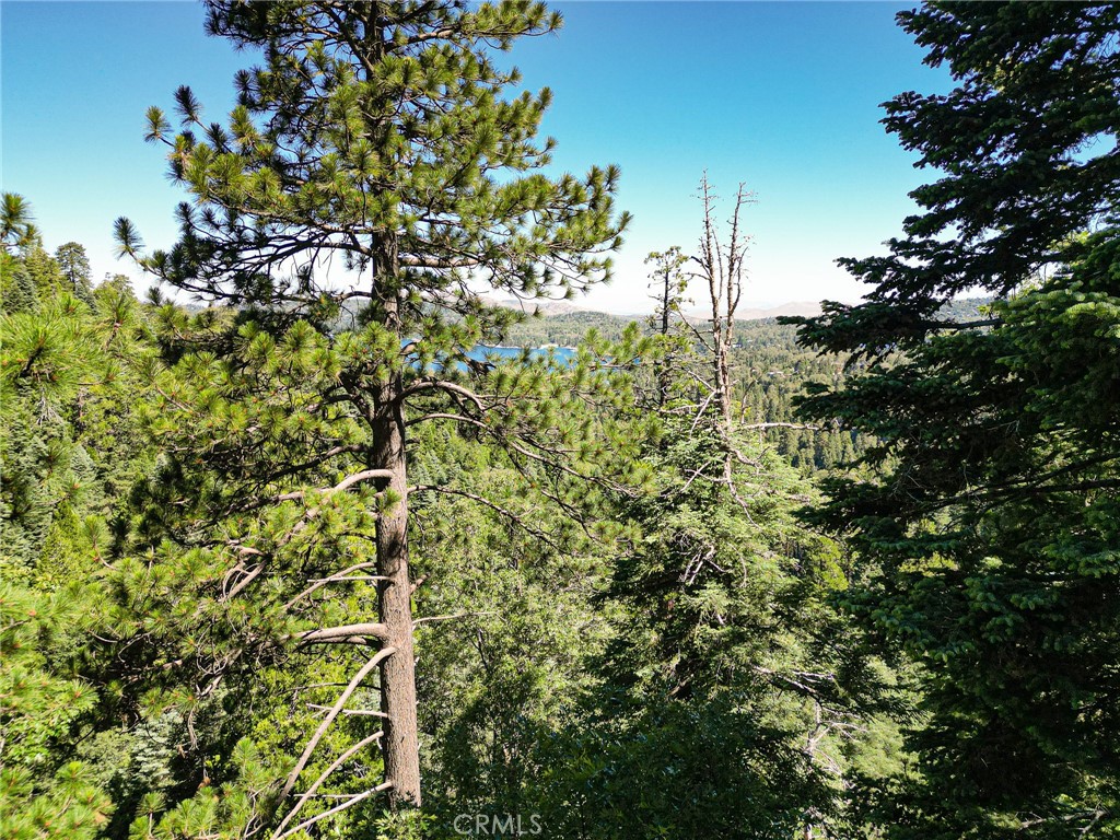 746 Blue Ridge Drive Skyforest, CA 92385 - Photo 2 of 18 Filtered view from a bit lower on the parcel.