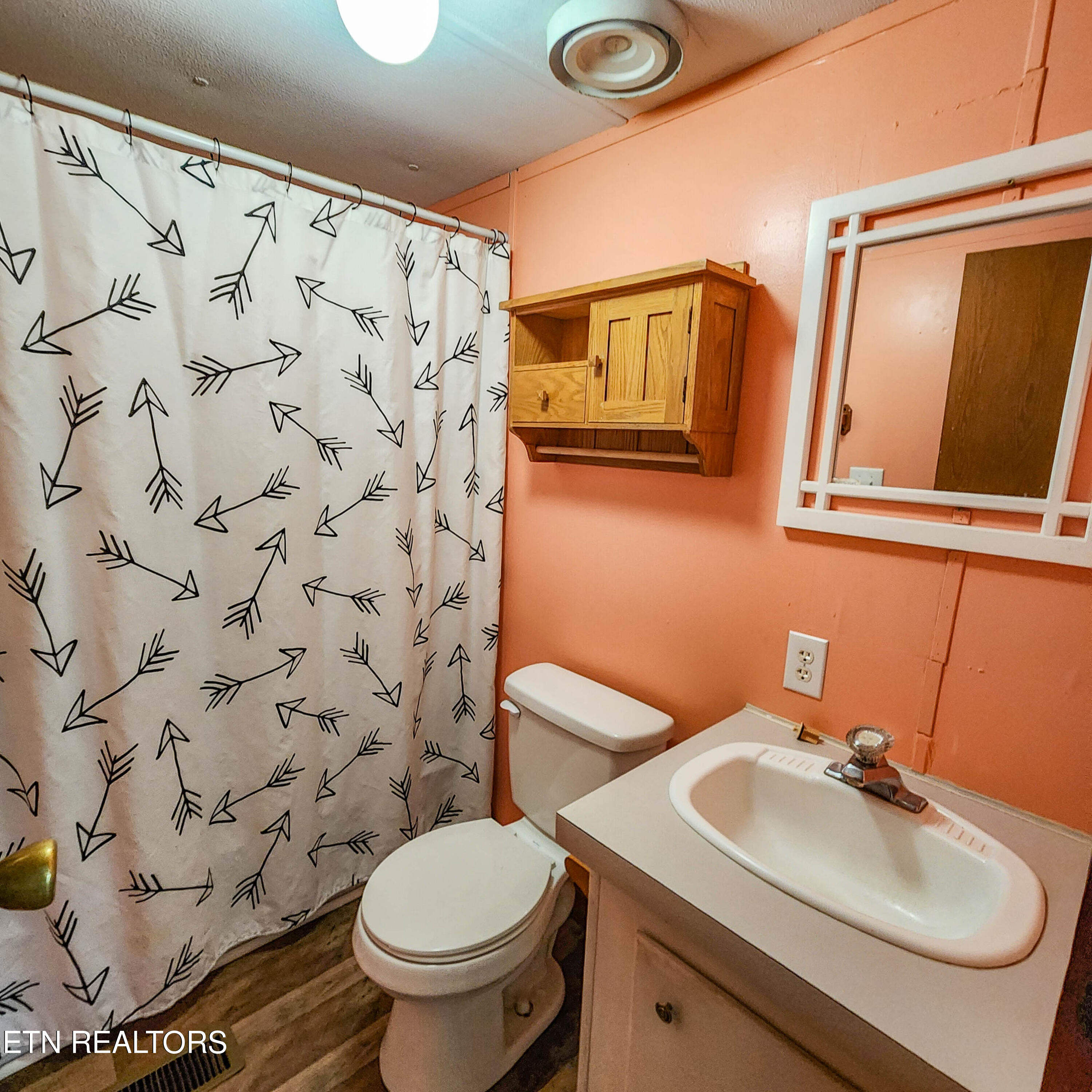 1010 Shirley Road Washburn, TN 37888 - Photo 19 of 27 shirley bath2