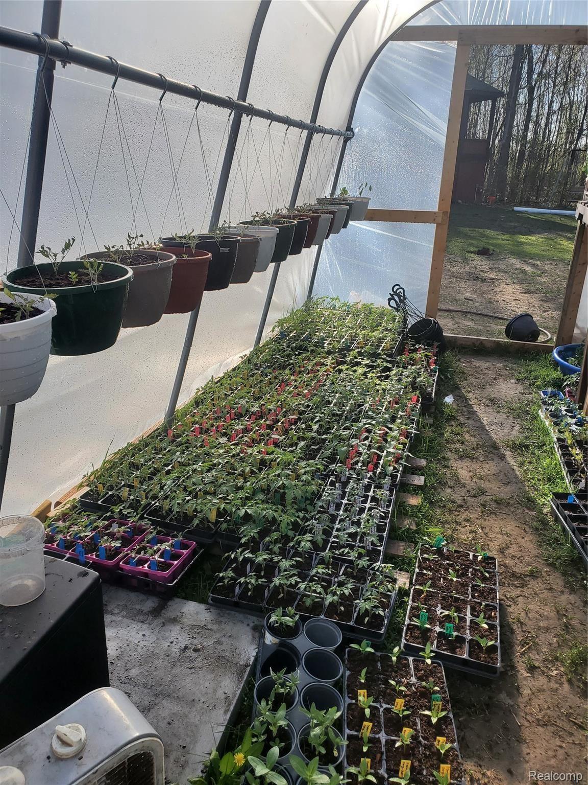 14300 Sullivan Road Capac, MI 48014 - Photo 6 of 65 10x20 seed starting greenhouse in backyard