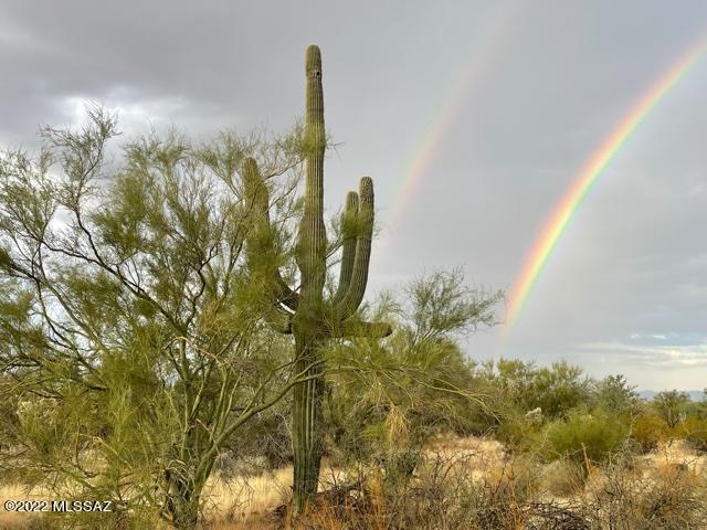 No Property Addresswild Burro Road Marana, AZ 85658 - Photo 1 of 3