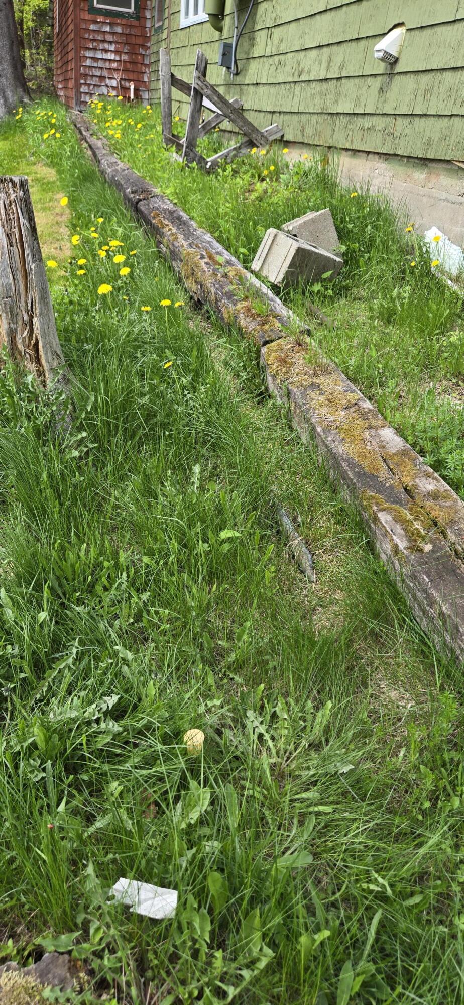 116 Clark Brook Road Wallagrass, ME 04781 - Photo 32 of 33 20260601_142531