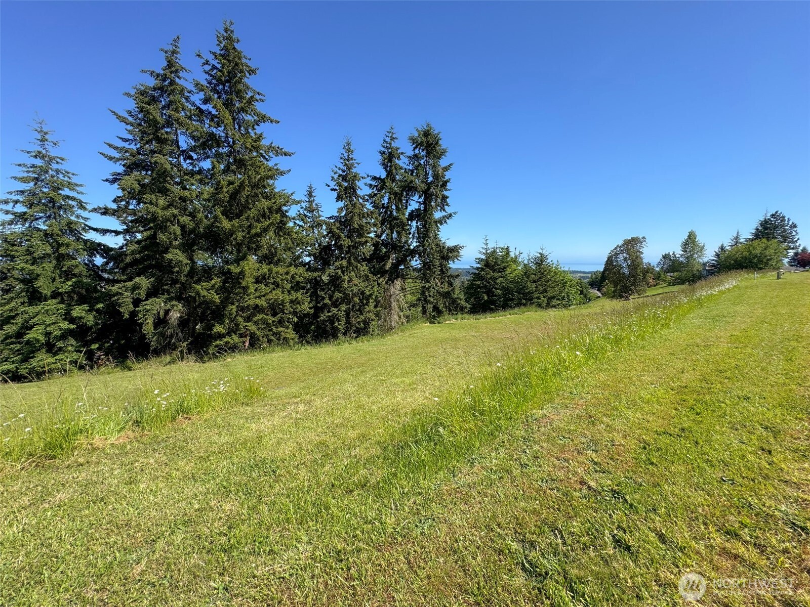 -nka Owls Nest Road Sequim, WA 98382 - Photo 17 of 38 a view of a yard with a tree