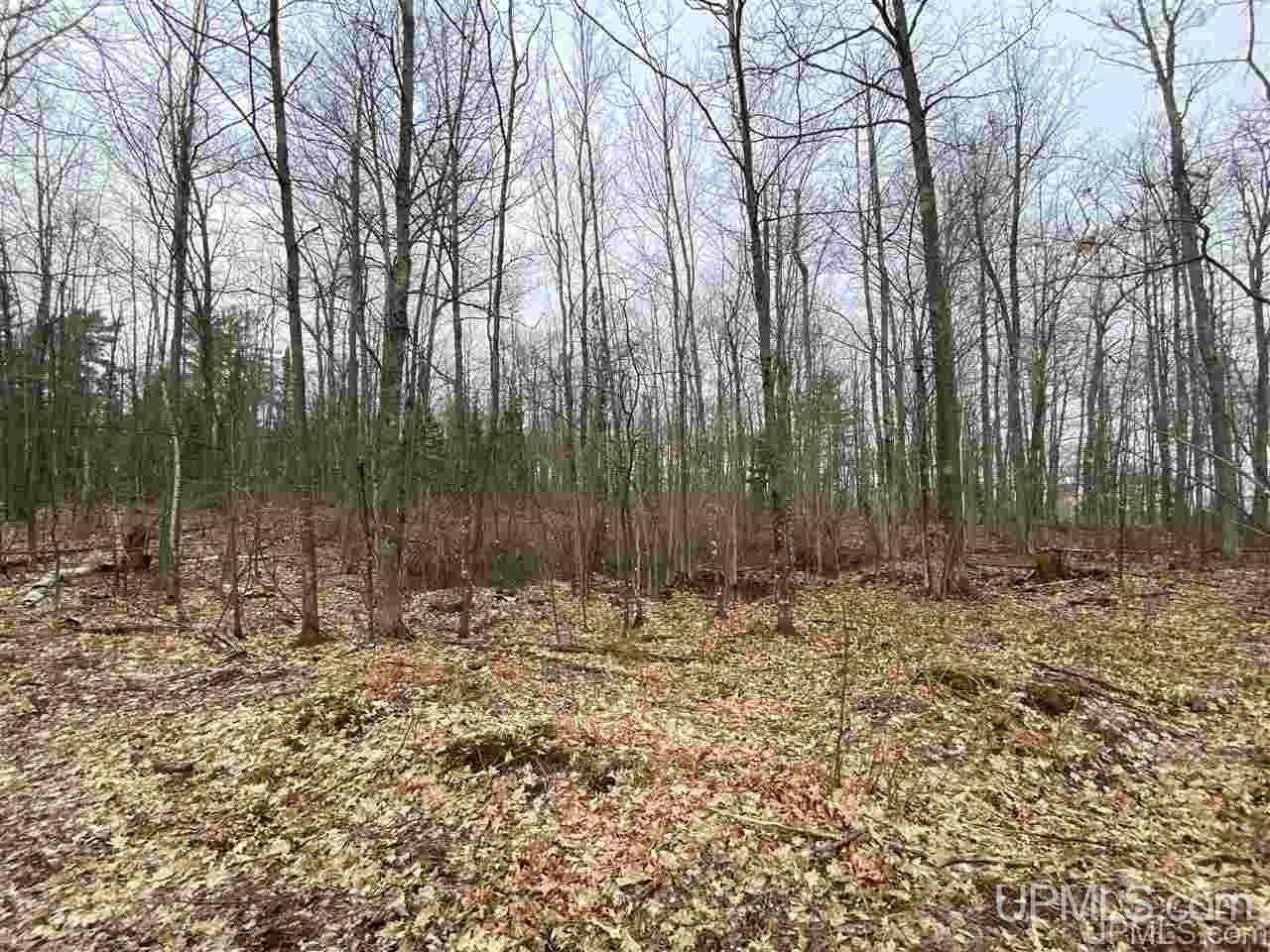 Tbd Plains Cutoff Road Baraga, MI 49908 - Photo 17 of 49