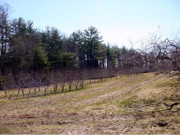 5-41 Beard Road New Boston, NH 03070 - Photo 1 of 3