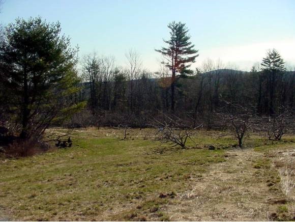5-41 Beard Road New Boston, NH 03070 - Photo 2 of 3