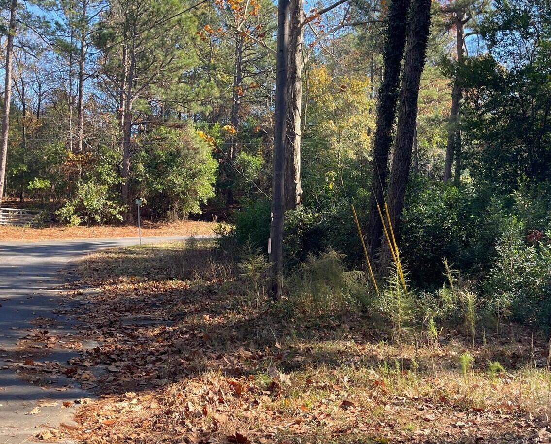 0 Spring Drive North Augusta, SC 29841 - Photo 2 of 4