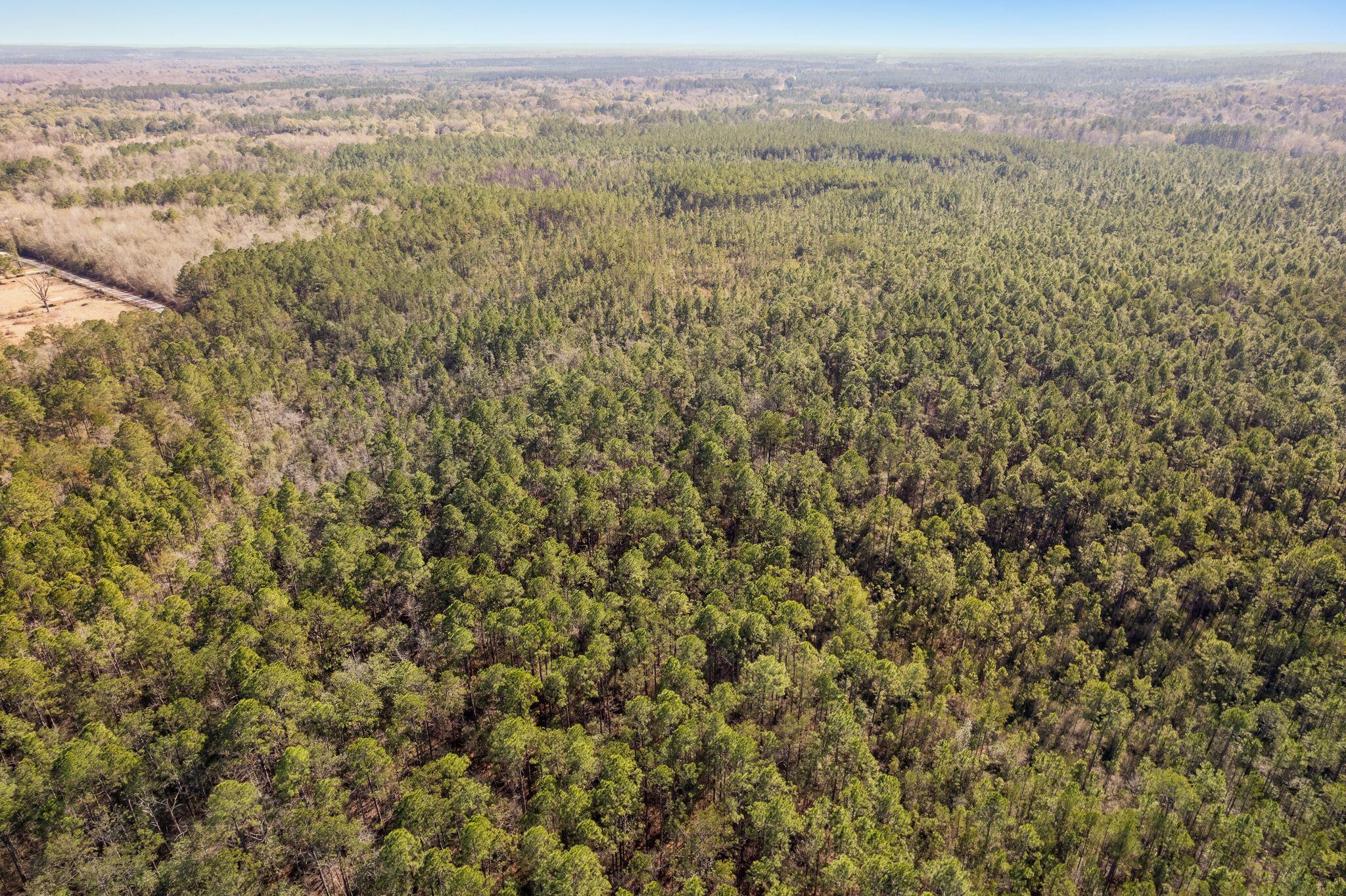 301 Woods Road Lucedale, MS 39452 - Photo 15 of 17 Woods_Road-16