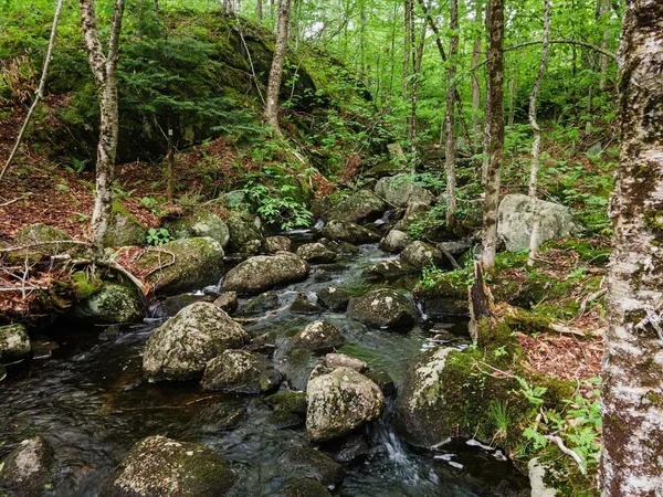 $2,990,000 | 138 Miller Drive, Nelson, NH 03457