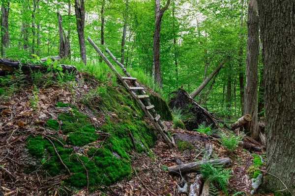 $2,990,000 | 138 Miller Drive, Nelson, NH 03457