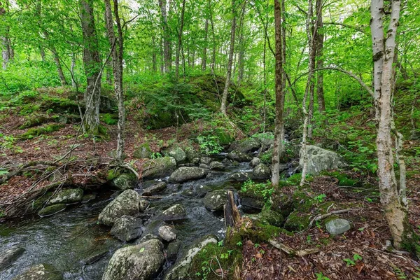 $2,990,000 | 138 Miller Drive, Nelson, NH 03457