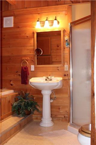 5323 Wiley Hollow Road Culleoka, TN 38451 - Photo 9 of 20 Master bathroom has a shower with jacuzzi style tub