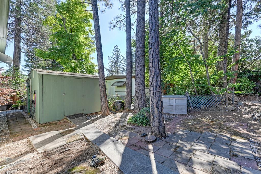 975 Amber Loop Grass Valley, CA 95945 - Photo 34 of 44 a backyard of a house with lots of green space