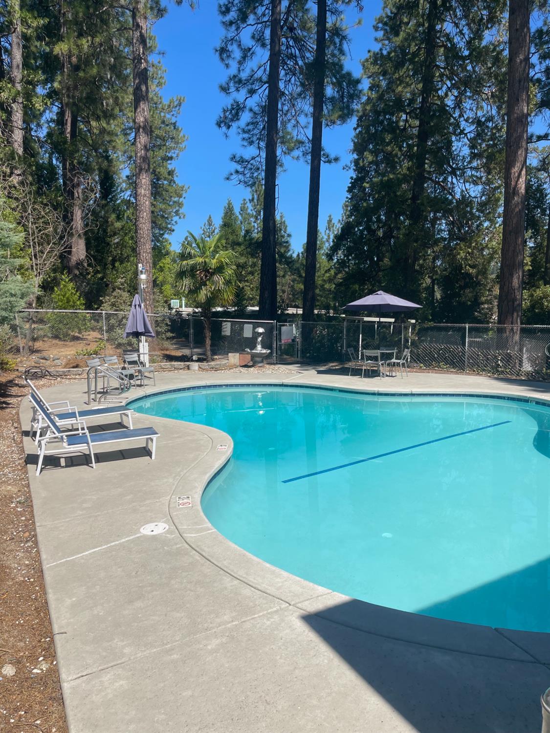 975 Amber Loop Grass Valley, CA 95945 - Photo 42 of 44 a view of a swimming pool with a patio