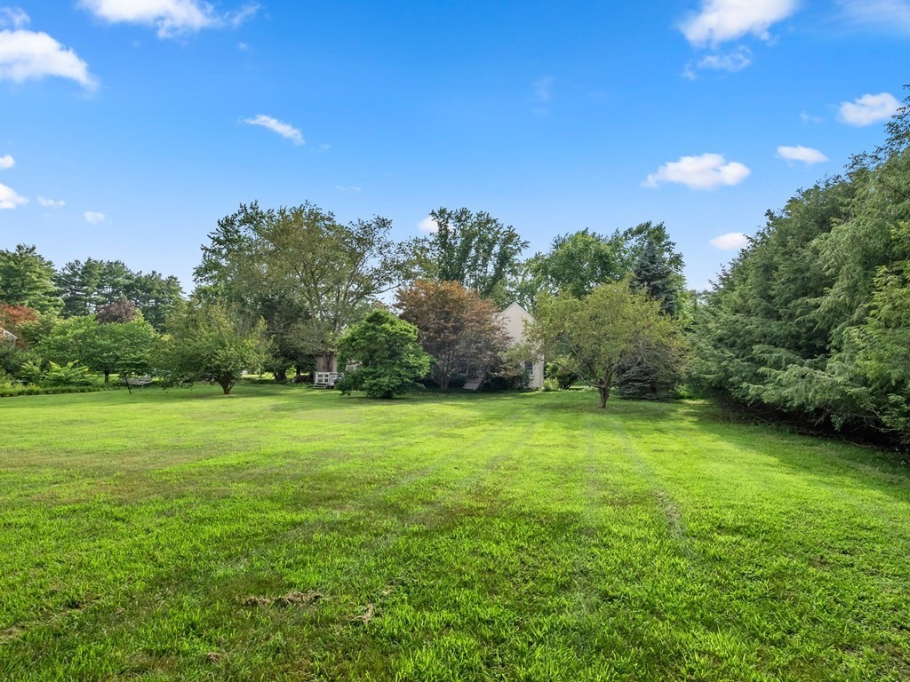 123 Victoria Road Sudbury, MA 01776 - Photo 33 of 42 a view of a field of grass and trees