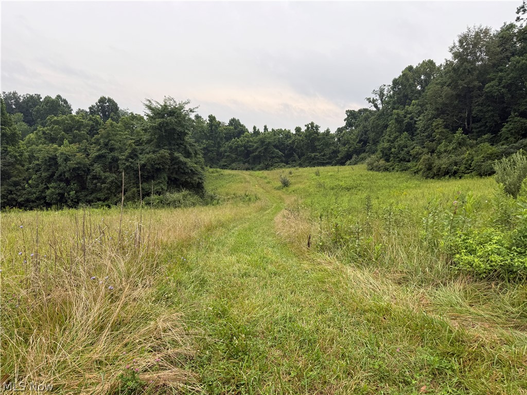 560 Wickens Road Macksburg, OH 45746 - Photo 14 of 43 Gallery Image 14