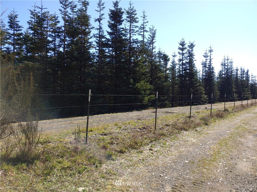0 Barrett Road North Montesano, WA 98563 - Photo 4 of 4 Gallery Image 4