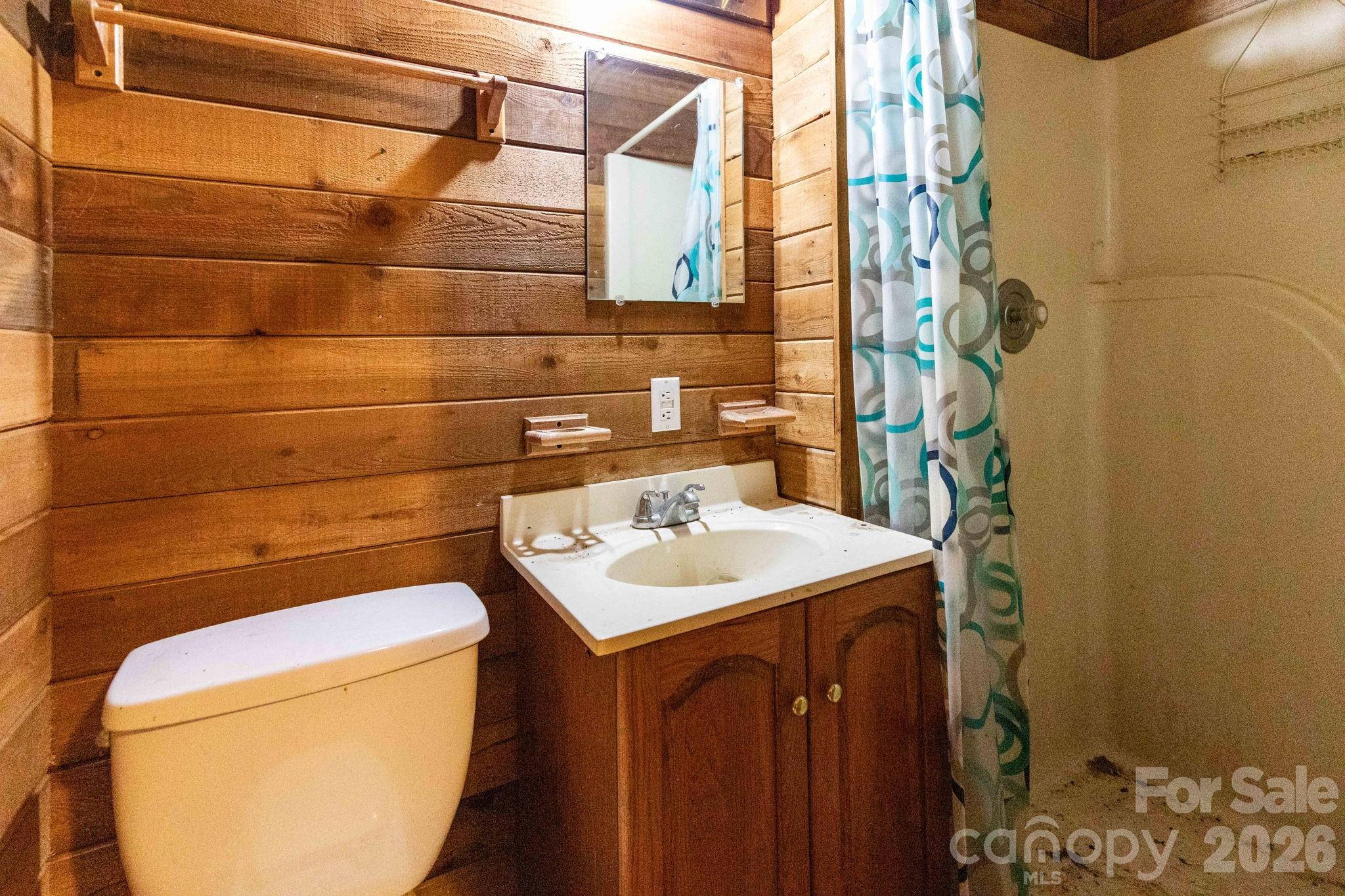329 North Fork Road Barnardsville, NC 28709 - Photo 21 of 33