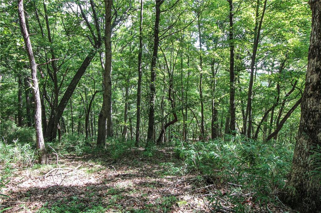 8088 Ridgeview Drive Big Canoe, GA 30143 - Photo 11 of 30 a view of outdoor space and green space