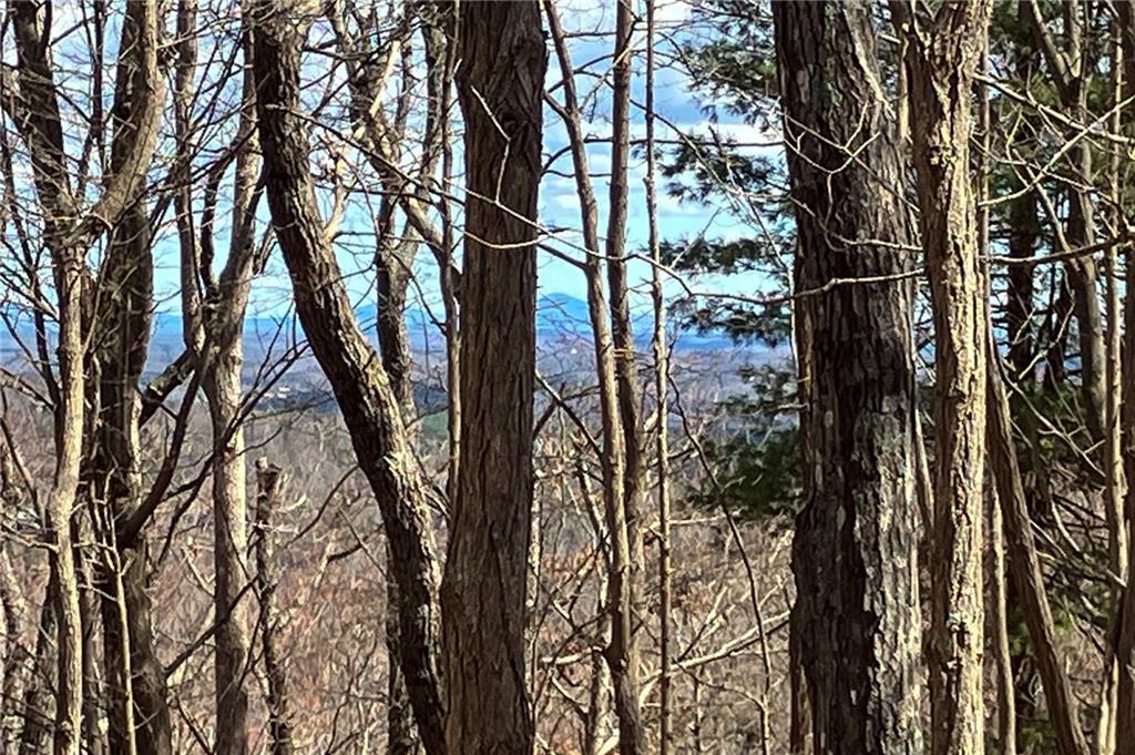8088 Ridgeview Drive Big Canoe, GA 30143 - Photo 13 of 30 a view of a yard
