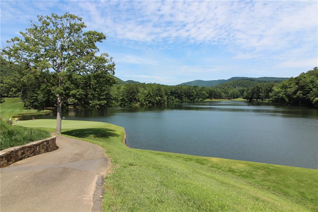 8088 Ridgeview Drive Big Canoe, GA 30143 - Photo 14 of 30 a view of a lake with a yard and a large trees