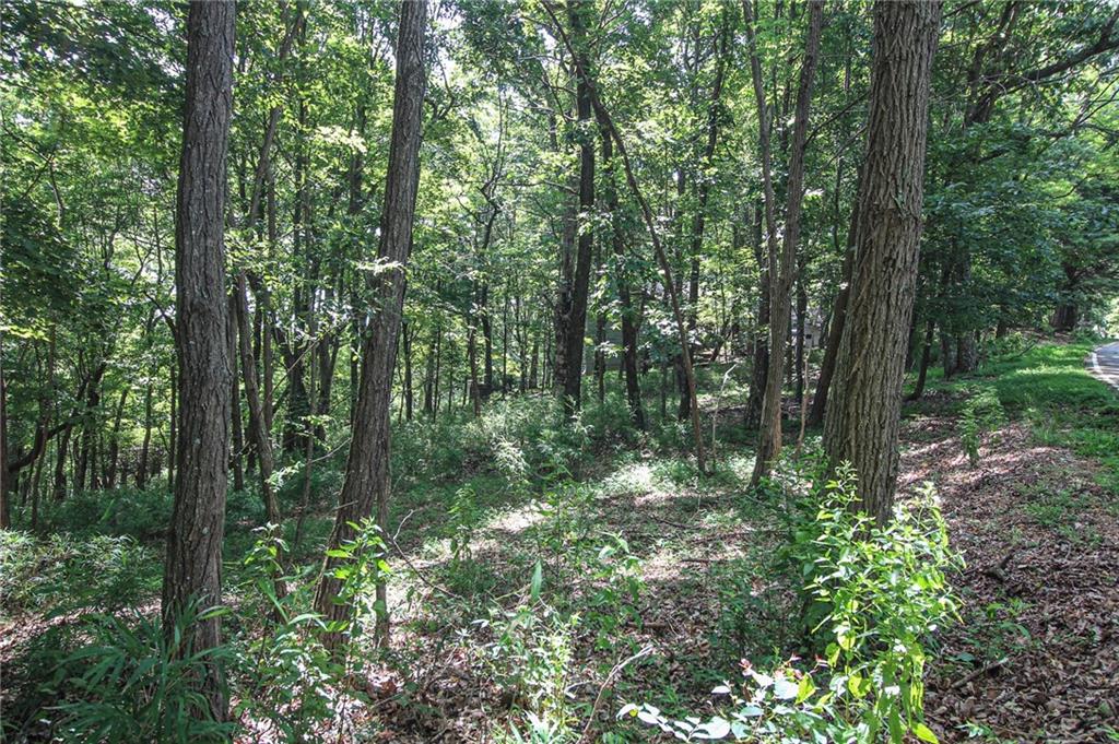 8088 Ridgeview Drive Big Canoe, GA 30143 - Photo 5 of 30 a view of forest