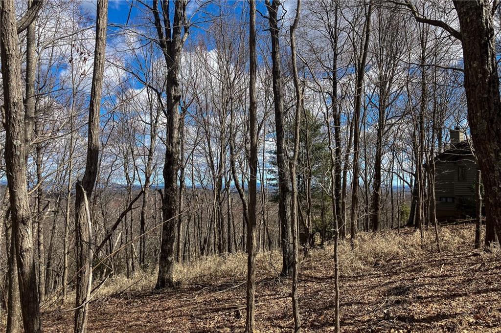 8088 Ridgeview Drive Big Canoe, GA 30143 - Photo 10 of 30 a view of a forest