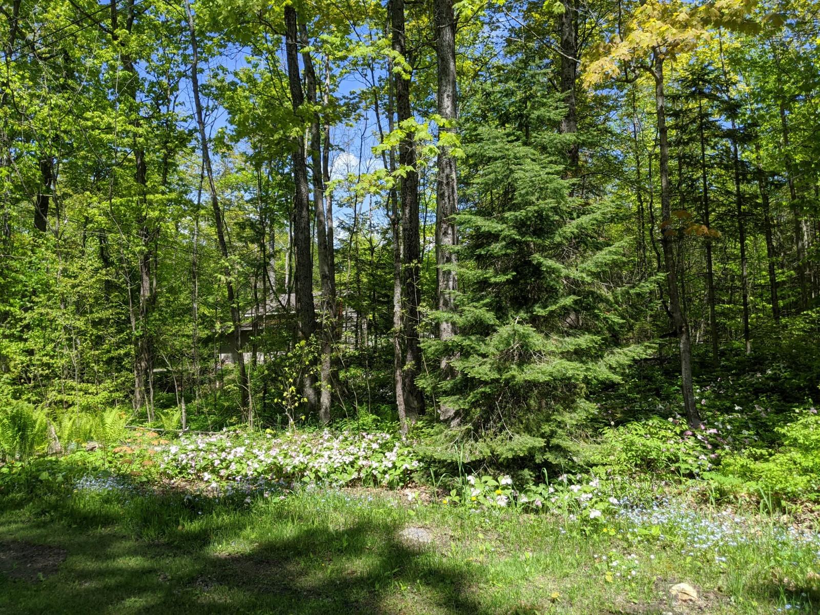 1643 Smith Road St. Ignace, MI 49781 - Photo 40 of 42 Gallery Image 40