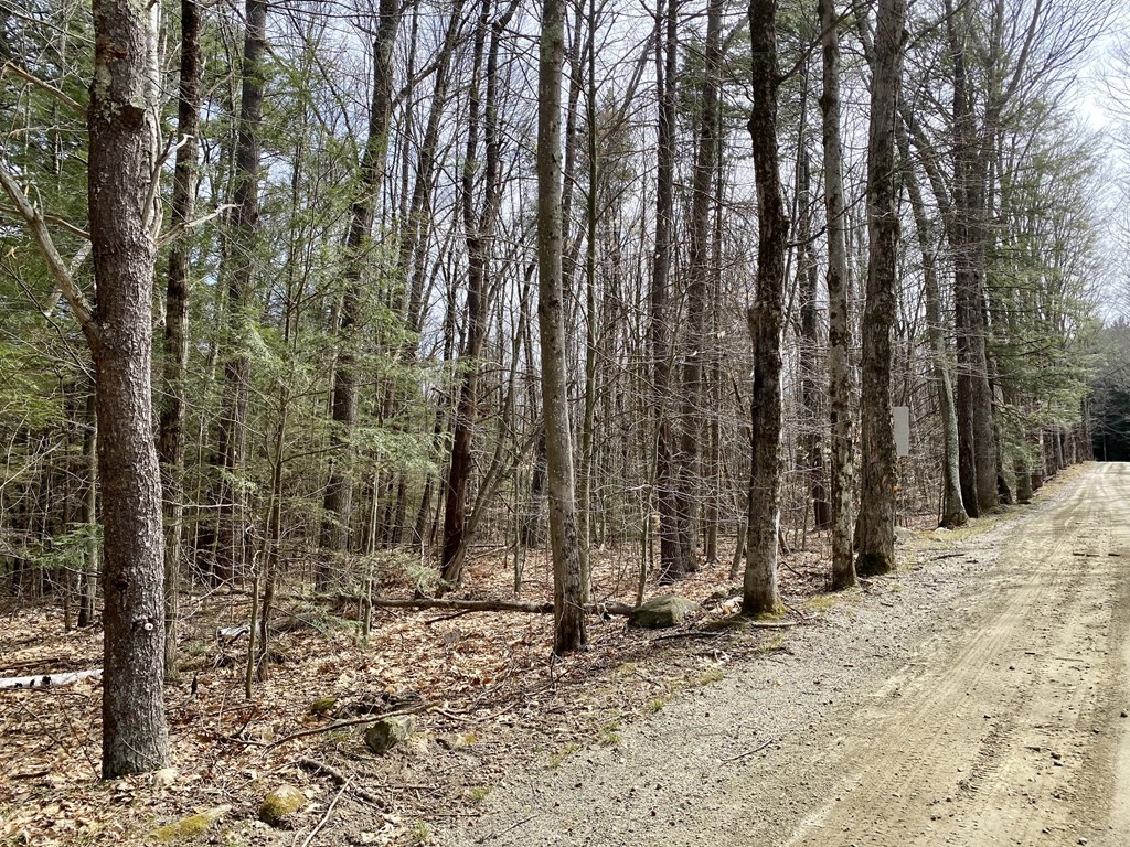 0 Davenport Road Rowe, MA 01367 - Photo 8 of 8 a view of wooden wall with trees